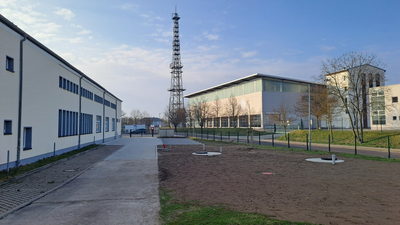Fläche auf der neuer Rasen gesäht wurde. Im Hintergrund zeigt sich eine Parkfläche. 